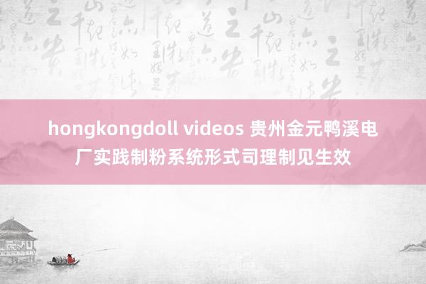 hongkongdoll videos 贵州金元鸭溪电厂实践制粉系统形式司理制见生效