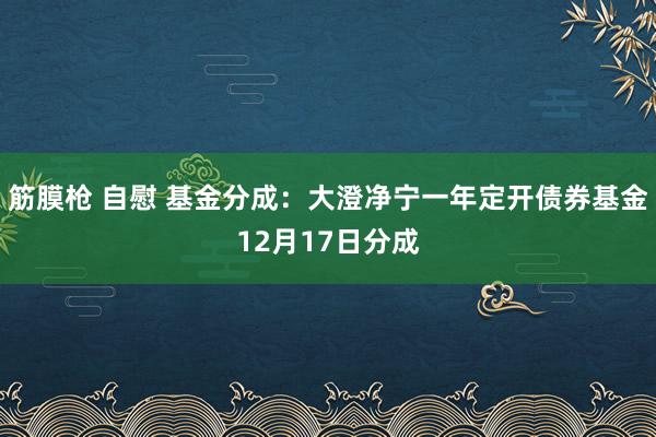 筋膜枪 自慰 基金分成：大澄净宁一年定开债券基金12月17日分成