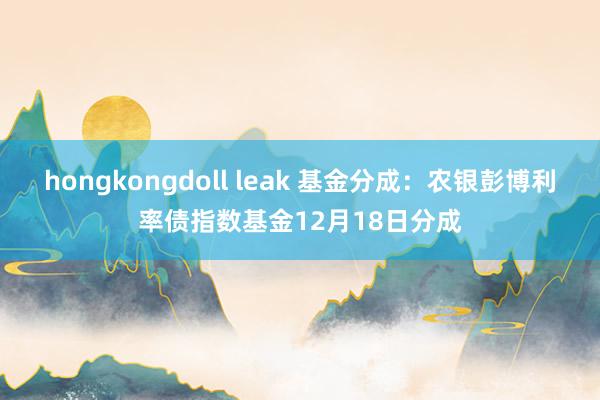 hongkongdoll leak 基金分成：农银彭博利率债指数基金12月18日分成