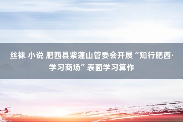 丝袜 小说 肥西县紫蓬山管委会开展“知行肥西·学习商场”表面学习算作