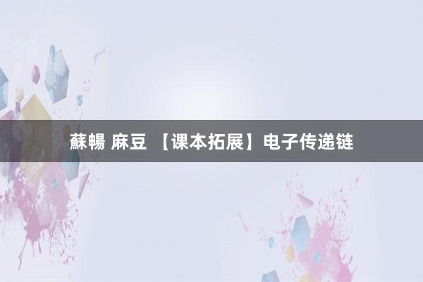 蘇暢 麻豆 【课本拓展】电子传递链