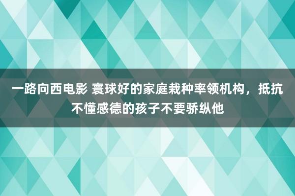 一路向西电影 寰球好的家庭栽种率领机构，抵抗不懂感德的孩子不要骄纵他