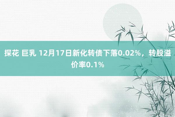 探花 巨乳 12月17日新化转债下落0.02%，转股溢价率0.1%