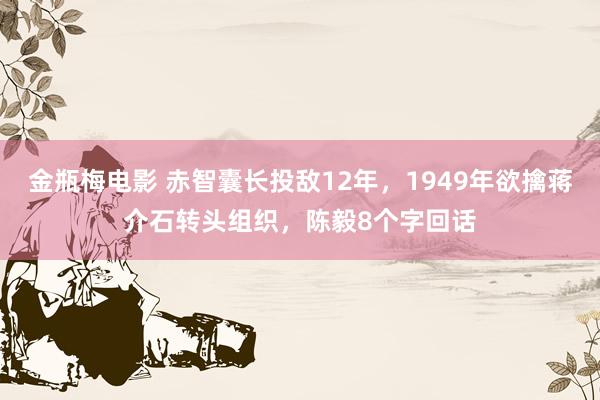 金瓶梅电影 赤智囊长投敌12年，1949年欲擒蒋介石转头组织，陈毅8个字回话