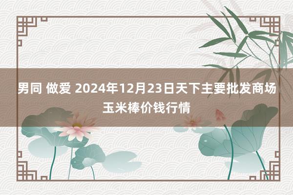 男同 做爱 2024年12月23日天下主要批发商场玉米棒价钱行情