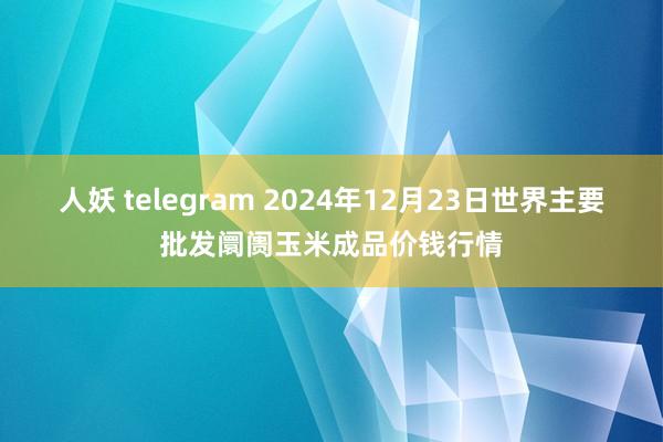 人妖 telegram 2024年12月23日世界主要批发阛阓玉米成品价钱行情