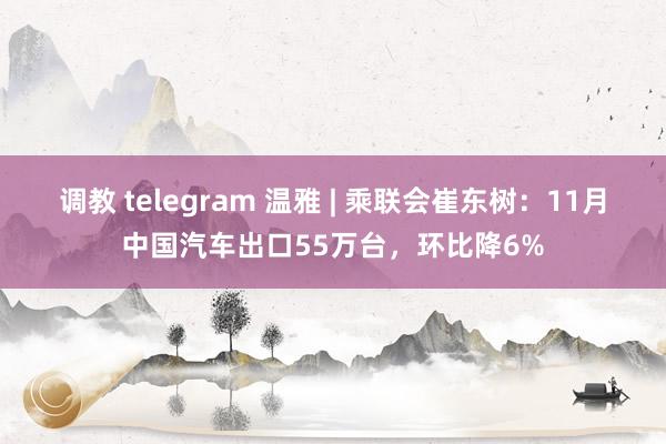 调教 telegram 温雅 | 乘联会崔东树：11月中国汽车出口55万台，环比降6%