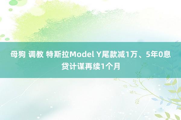 母狗 调教 特斯拉Model Y尾款减1万、5年0息贷计谋再续1个月