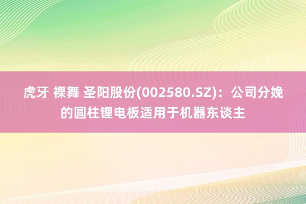 虎牙 裸舞 圣阳股份(002580.SZ)：公司分娩的圆柱锂电板适用于机器东谈主