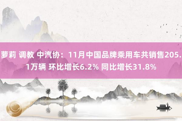 萝莉 调教 中汽协：11月中国品牌乘用车共销售205.1万辆 环比增长6.2% 同比增长31.8%