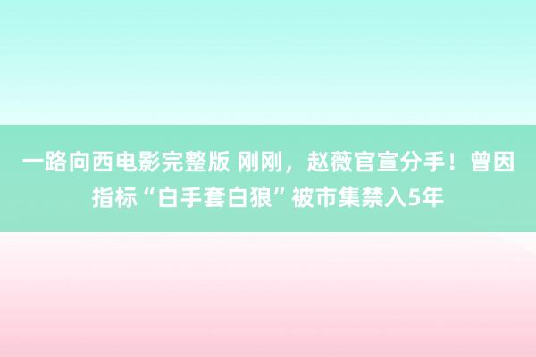 一路向西电影完整版 刚刚，赵薇官宣分手！曾因指标“白手套白狼”被市集禁入5年