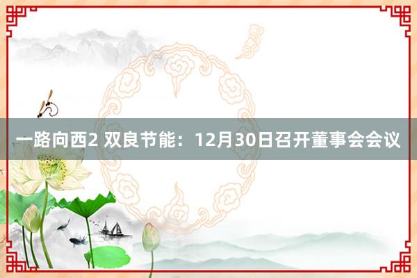 一路向西2 双良节能：12月30日召开董事会会议