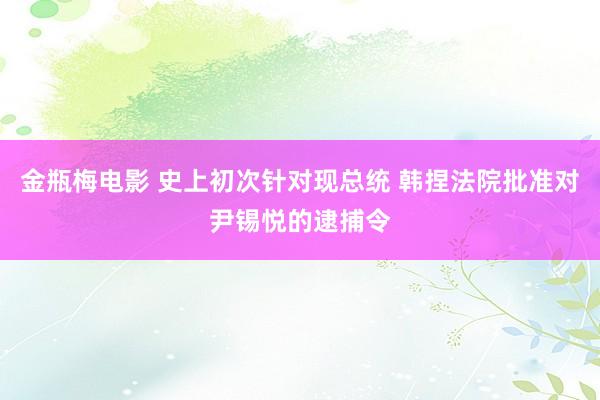 金瓶梅电影 史上初次针对现总统 韩捏法院批准对尹锡悦的逮捕令