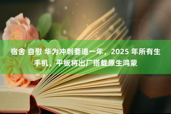 宿舍 自慰 华为冲刺要道一年，2025 年所有生手机、平板将出厂搭载原生鸿蒙