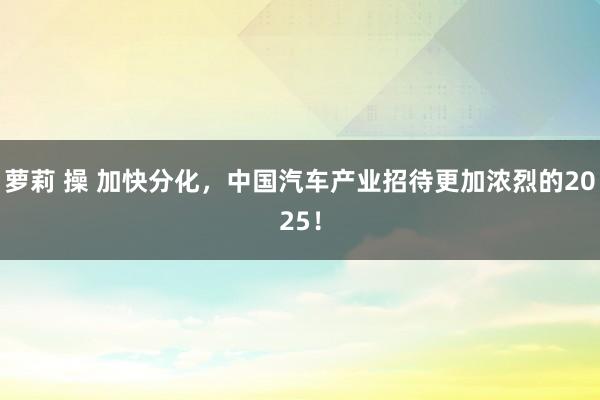 萝莉 操 加快分化，中国汽车产业招待更加浓烈的2025！