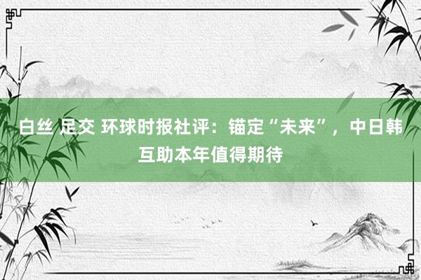 白丝 足交 环球时报社评：锚定“未来”，中日韩互助本年值得期待