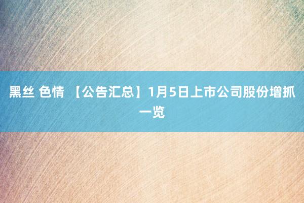 黑丝 色情 【公告汇总】1月5日上市公司股份增抓一览