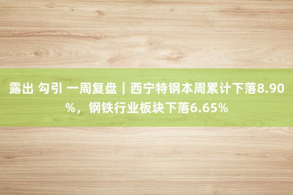 露出 勾引 一周复盘｜西宁特钢本周累计下落8.90%，钢铁行业板块下落6.65%