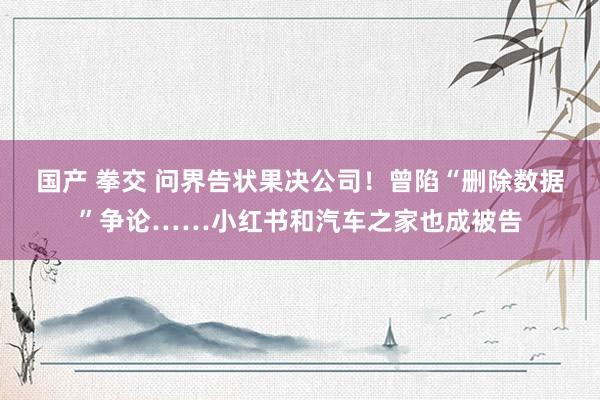 国产 拳交 问界告状果决公司！曾陷“删除数据”争论……小红书和汽车之家也成被告