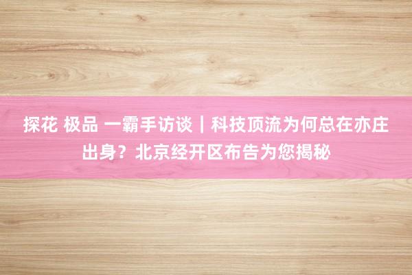 探花 极品 一霸手访谈｜科技顶流为何总在亦庄出身？北京经开区布告为您揭秘