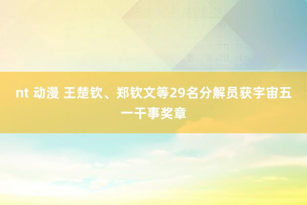 nt 动漫 王楚钦、郑钦文等29名分解员获宇宙五一干事奖章