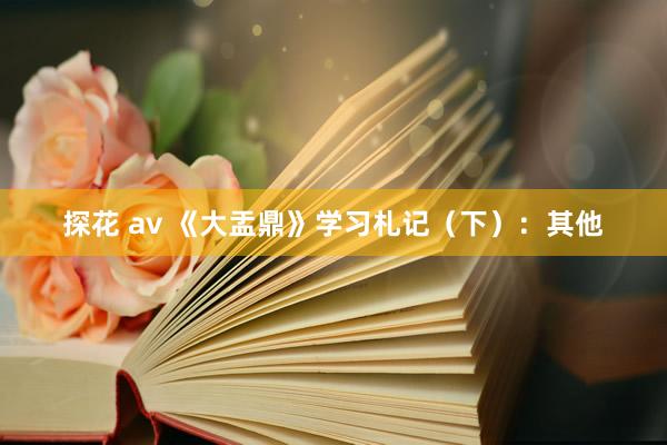 探花 av 《大盂鼎》学习札记（下）：其他