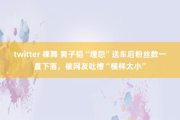 twitter 裸舞 黄子韬“埋怨”送车后粉丝数一直下落，被网友吐槽“模样太小”